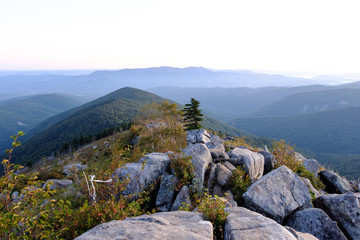 Ridge, exotic stones and wood