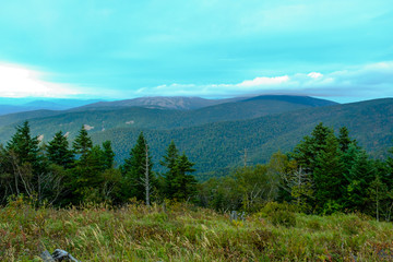 View on the wood and ridges