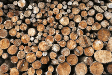 Log pile