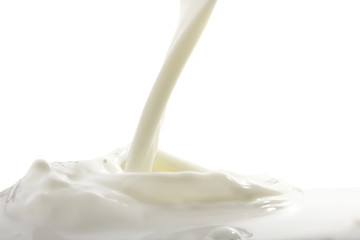 Splash of milk