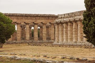 Italy,Cilento, archaeological site of Paestum, the Temple of Athena also known as Cerere Temple 