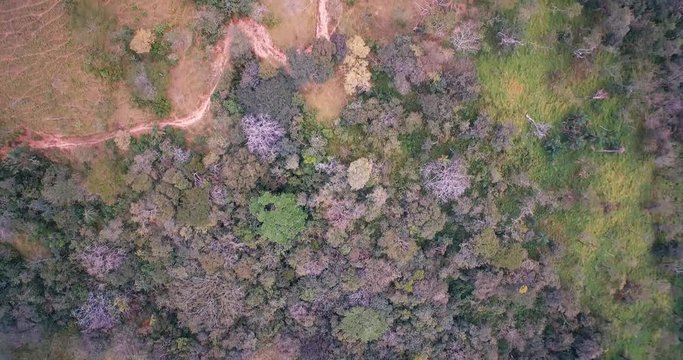 Aerial, Landscapes Around San Isidro Costa Rica