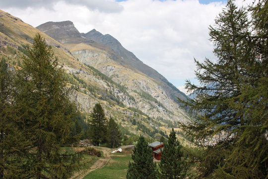 Swiss alsp