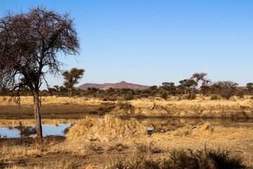 Endlose Weiten im fernen Namibia in Süd Afrika