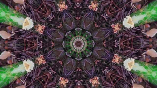 Fractal Abanico Caleidoscopico