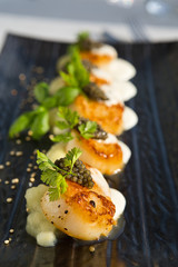 Delicious pan seared organic scallops, served with celery puree, caviar, parsley and white wine cream sauce. Presented professionally and shot with a shallow depth of field.