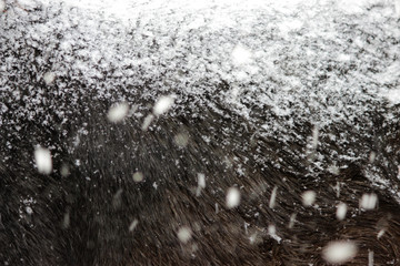 back of a young stallion of black color, which stands in a enclosure on the street in winter during the snowfall.