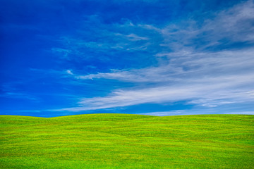 Green field and sky