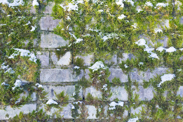 snow on the mossy bricks texture