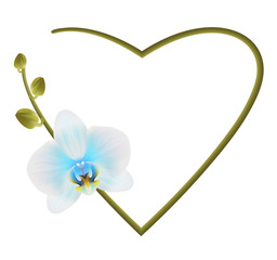 Realistic light blue orchid frame, heart.