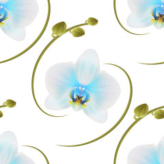 Realistic light blue orchid background, pattern.