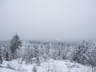 nebliger Blick in eine Winterlandschaft
