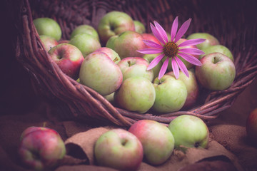 apple, basket, food, fruit, green, nature, organic, red,  summer, vegetarian