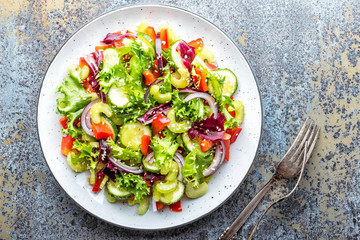Fresh vegetable Salad of cucumber, celery, sweet pepper, frize lettuce, red onion and sesame seeds with olive oil. Healthy vegetarian, vegan food