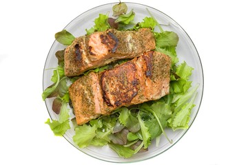 Grilled salmon on salad