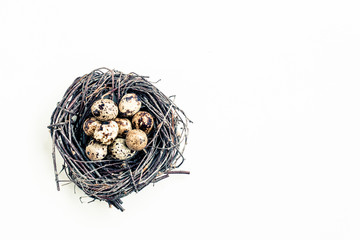 Quail eggs in the nest on white background. Space fot text.
