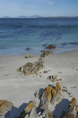 White sandy beach with outcrops of lichen covered rocks on Carcass Island in the Falkland Islands.