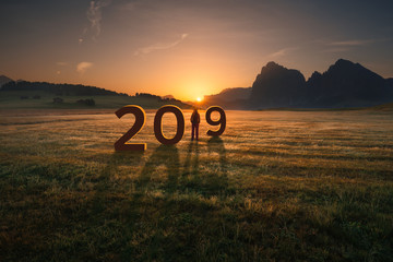 Lone girl looking forward and worried for 2019 - obrazy, fototapety, plakaty