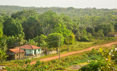 Floresta no interior do maranhão
