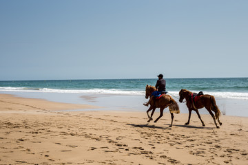 Cavalier avec deux chevaux qui courent sur une plage déserte
