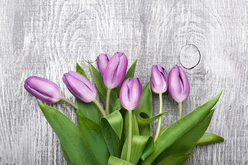 luxurious fresh fashionable purple tulips on a wooden background