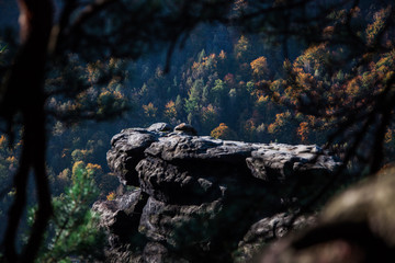  Saxon Switzerland