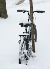 Bicycle covered with snow tied up to traffic sign during winter storm