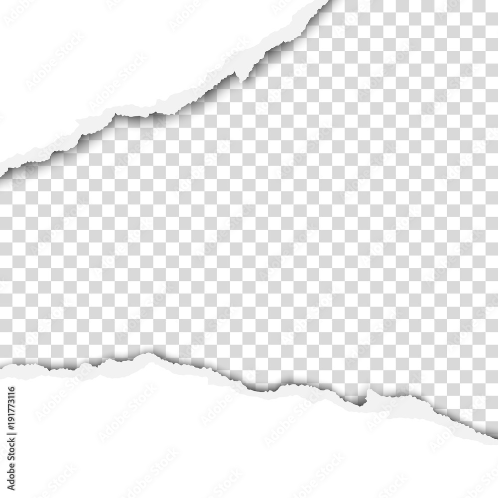Poster ragged wide strip in sheet of white paper. transparent background of the resulting hole. vector temp