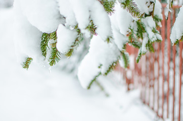 The branch with snow is close in the open air