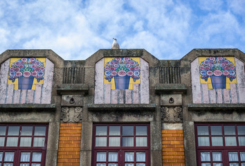Fototapeta premium seagull on town house in Porto city, Portugal