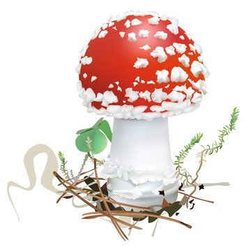 Amanita muscaria. Fly agaric mushroom. 
White spotted beautiful red mushrooms in natural context. Realistic vector illustration on white background.
