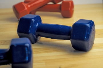 sport in the home, dumbbells red and blue