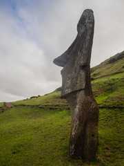 Detaill of a moai buried in Rano Raraku volcano, Easter island, Chile.