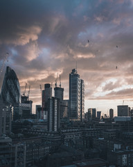 Obraz premium London sunset birds