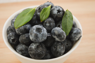 fresh blueberries in white bowl/fresh blueberries in white bowl. Close up.