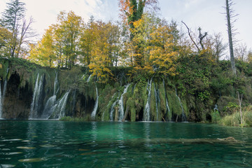 A green scene with waterfalls flowing into a lake with a sunken tree in the clear water below. The sky is cloudy and the foliage is a lush green.