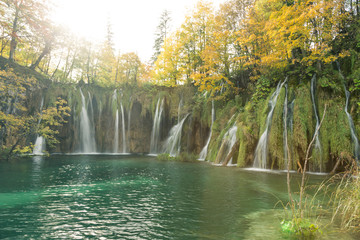 Multiple waterfalls show the different heights of the lakes in Plitvice Lake National Park. The trees are golden yellow and the water is clear and turquoise.