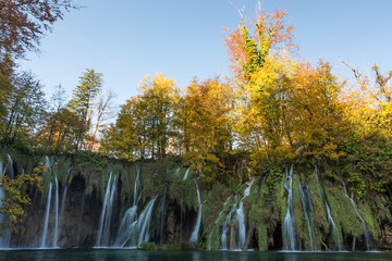 Golden trees on top of a waterfall in Plitvice Lakes National Park. There are multiple streams of water falling into a lake. Taken in the fall. The trees are changing colors.