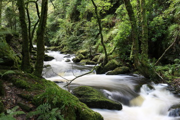 Fluss am Ring of Kerry