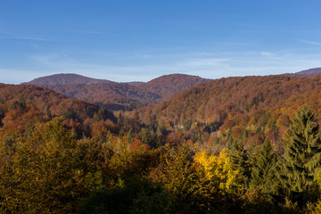 Vast view of fall colors in Europe. Taken at Plitvice Lakes National Park in autumn, the trees were an amazing blend of different vibrant colors. Blue skies, few clouds