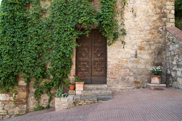 Ancient stone wall covered in vines with beautiful brown wood door