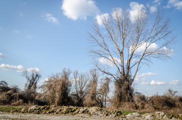 access to the water channel 