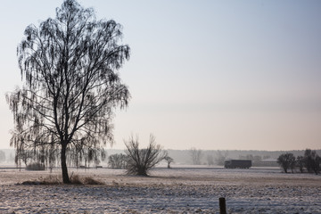 Winterlandschaft