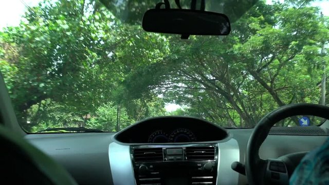 travelling by car fron window view, passing tree crowns with sunbeams, travel concept, asian landscape