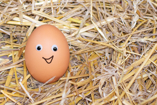 one brown egg with eyes and smile in the hay