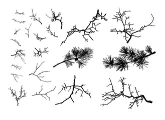 Realistic set of tree branches  (Vector illustration).