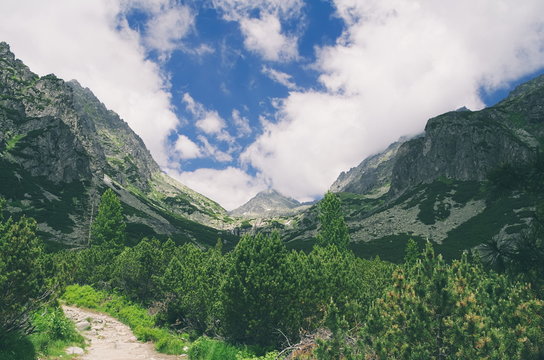 Mlynicka Valley in High Tatras