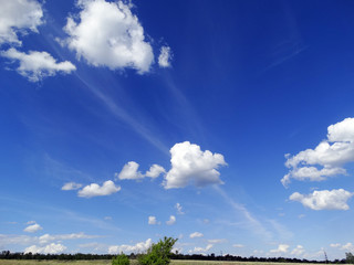 Fototapeta premium Blue summer sky