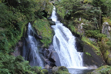 Obraz premium Wasserfall