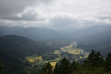 日本の山の景色